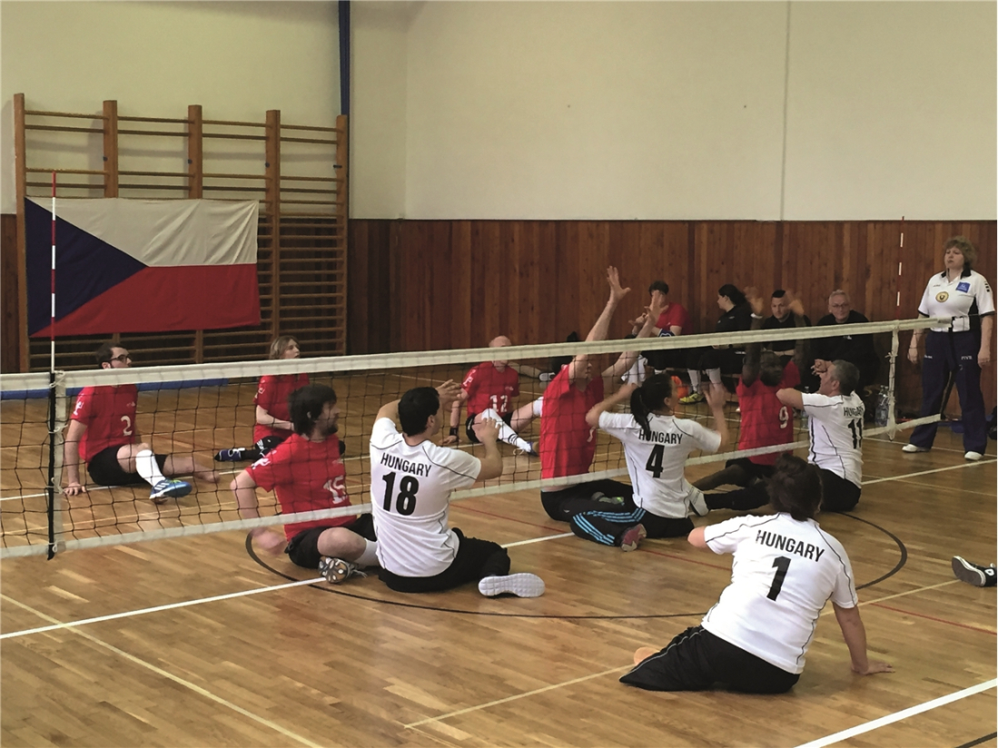 Kit volley assis
