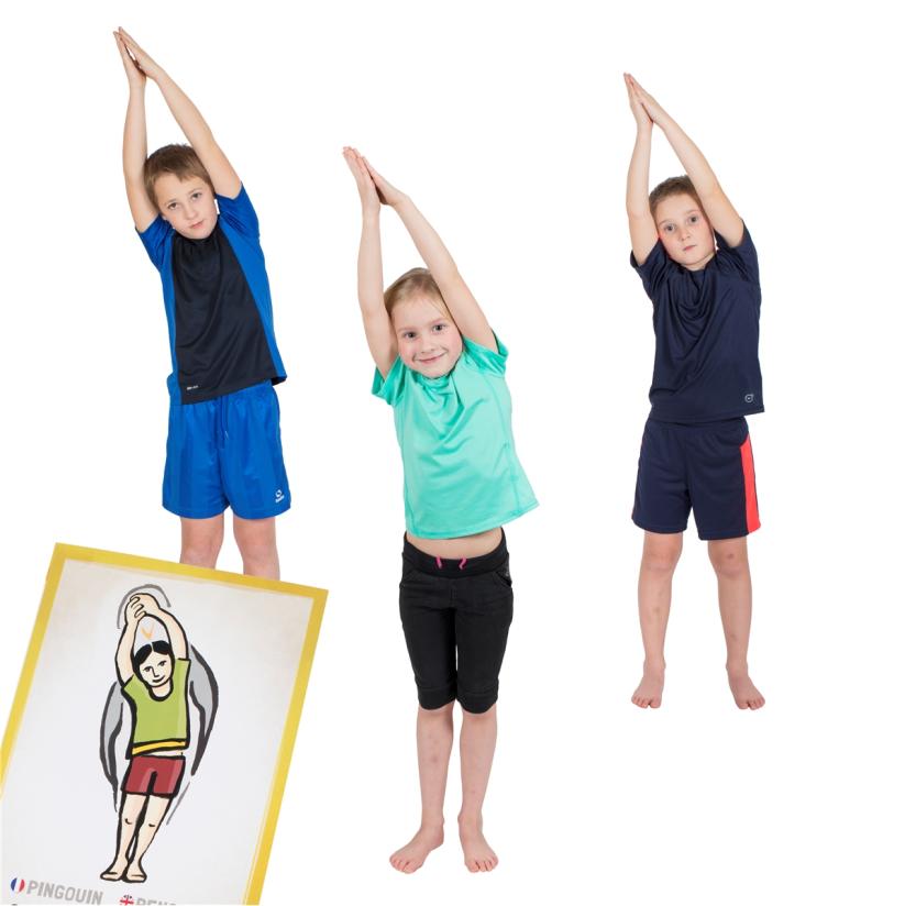 Fiches d'enseignement postures PedaYoga