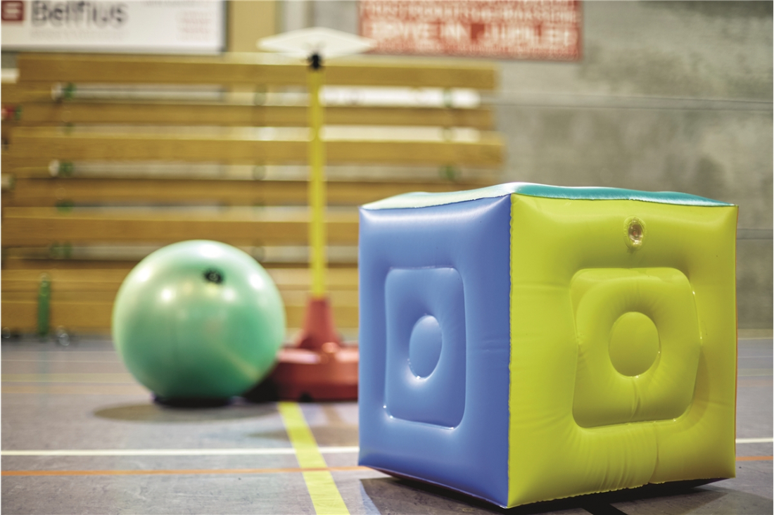 Poull Ball platform