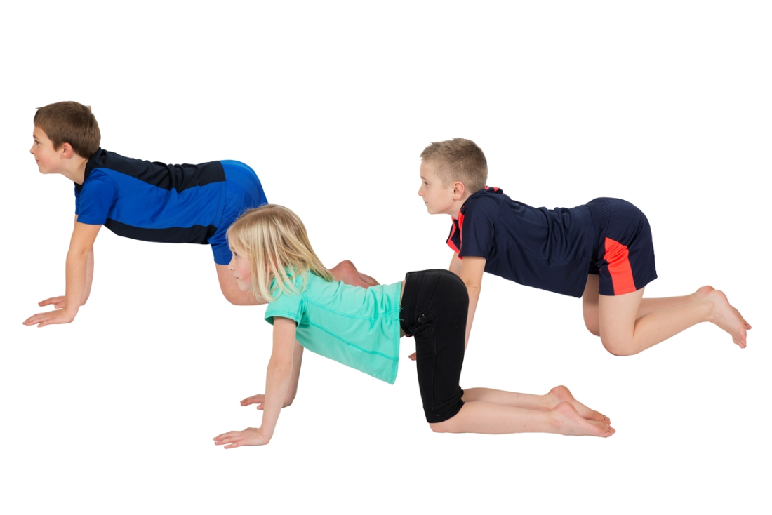 Fiches d'enseignement postures PedaYoga