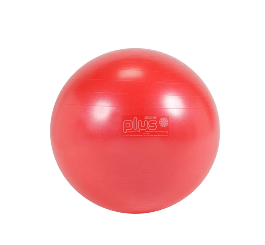 Gymnic ball Classic Plus