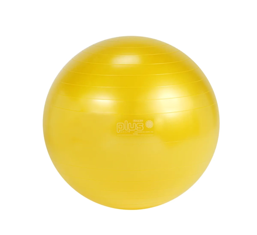 Gymnic ball Classic Plus