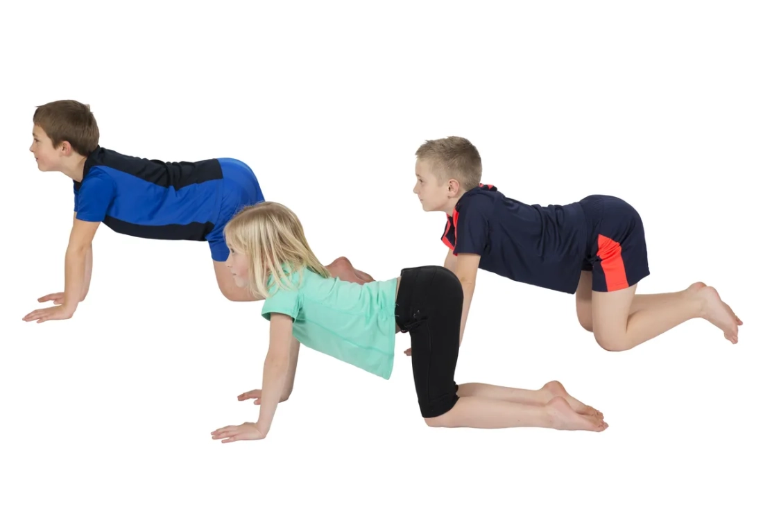 Fiches d'enseignement postures PedaYoga