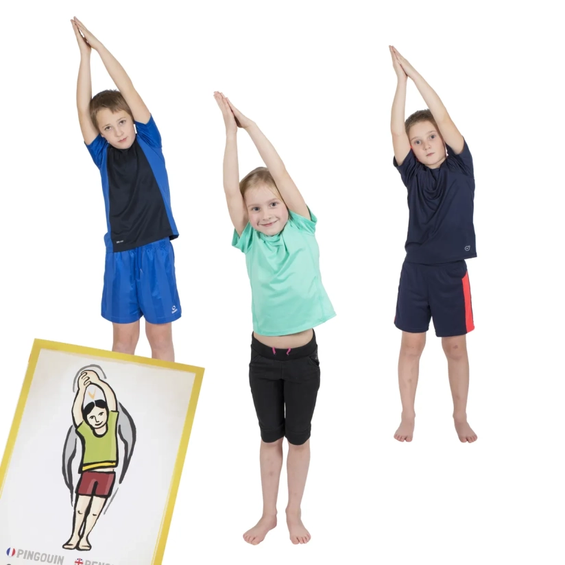 Fiches d'enseignement postures PedaYoga