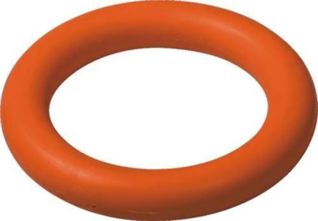 Gym Ringette ring