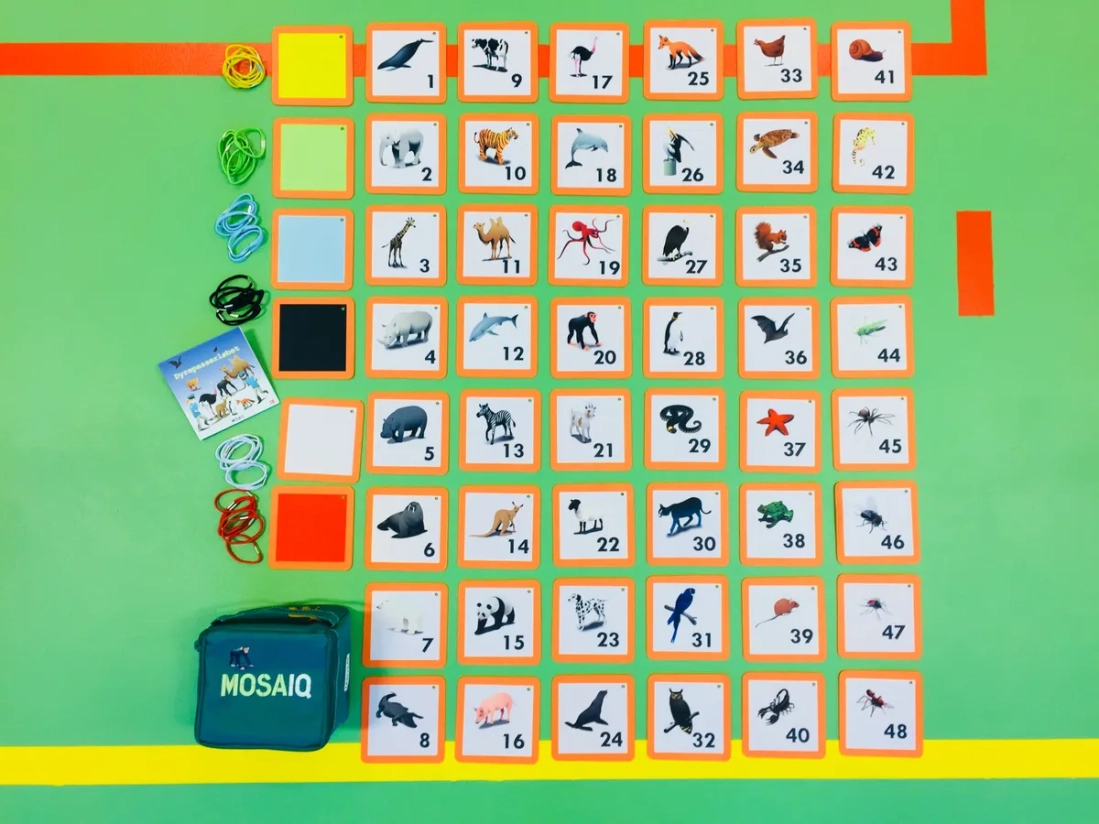 Set MosaIQ Zoo