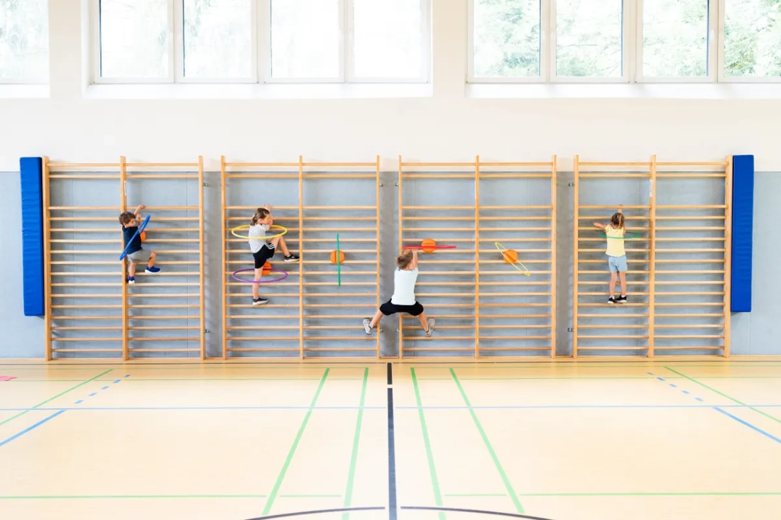 Set van 4 WalliBari®-hoepelhouders