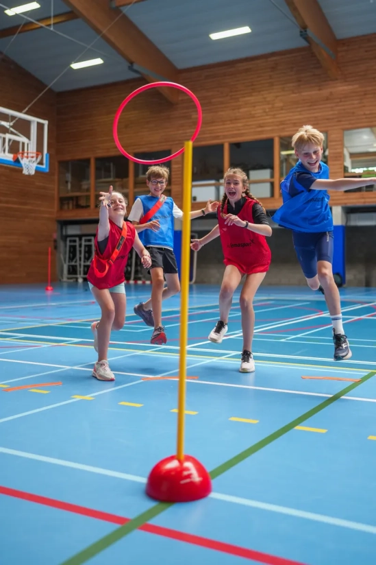 Kit Hoop-picket® Pro