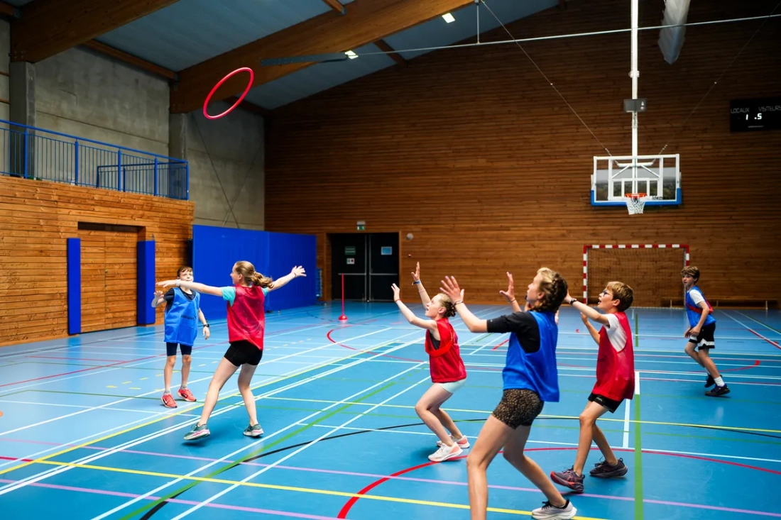 Kit Hoop-picket® Pro