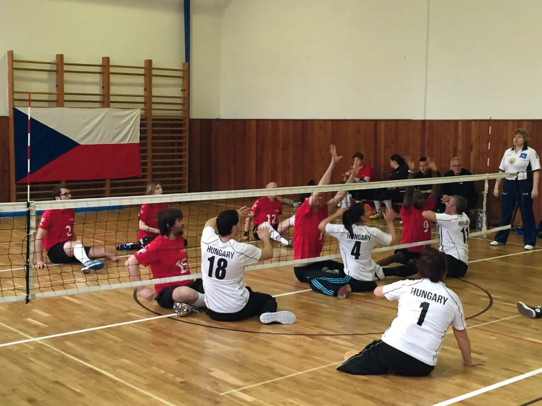 Zitvolleybalset