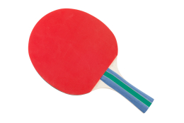 Raquette de tennis de table Megaform Gold