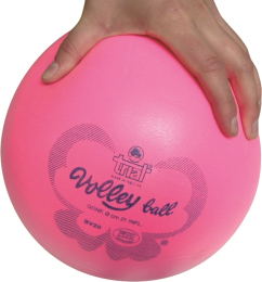 Ballon de volleyball Trial Primo T.5