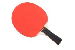 Raquette de tennis de table Megaform Bronze