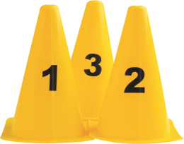 Lot de 10 cônes numérotés