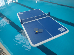 Aqua Ping