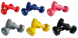 Paire d'haltères fitness