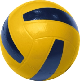 Ballon de volley peau d'éléphant