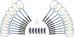 Kit 20 raquettes double tige