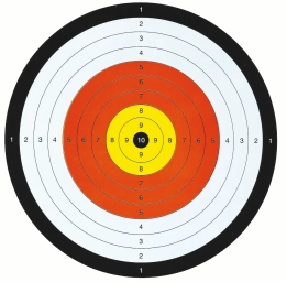 Lot de 10 cibles entraînement
