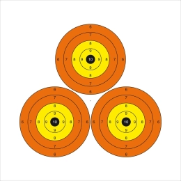 Lot de 10 cibles Trispot