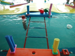 Pedagogische ladder