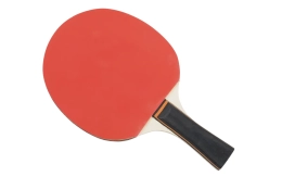 Raquette de tennis de table Megaform Bronze