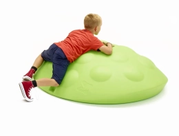 Torti Wood