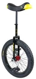 Qu-ax Monocycle Muni 20" starter ISIS noir