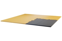Tapis de judo