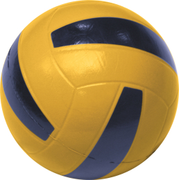 Ballon de volley peau d'éléphant