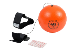 Bolley