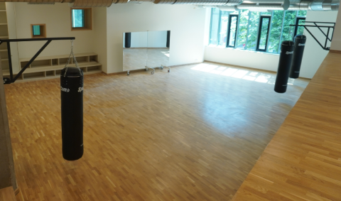 Salle de boxe et danse Egied