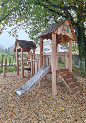 Module de jeux 2 tours en bois de robinier