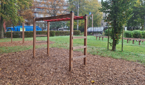 échelle horizontale structure bois de mélèze